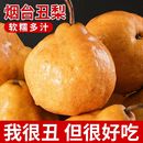 山东中华丑梨软糯太婆梨啤梨应季 水果梨子现摘新鲜粉面莱阳梨批发