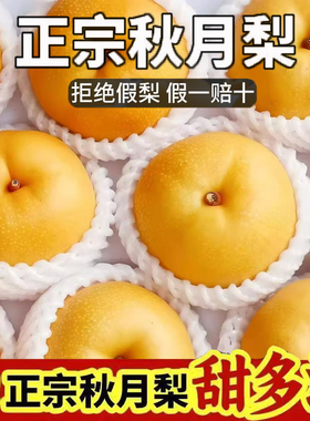 山东秋月梨莱阳梨子冰糖脆甜新鲜水果礼盒应季现摘包邮孕妇绿色