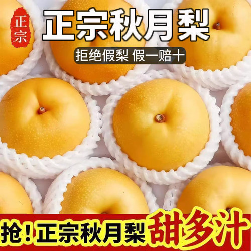 山东秋月梨莱阳梨子冰糖脆甜新鲜水果礼盒应季现摘包邮孕妇绿色