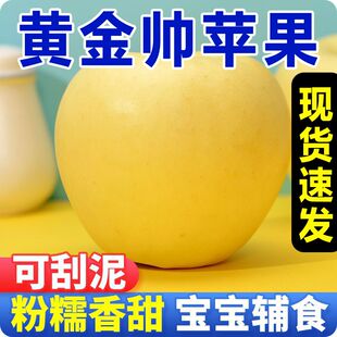 黄元帅苹果粉面刮泥宝宝辅食黄香蕉苹果金帅黄苹果烟台苹果奶油甜