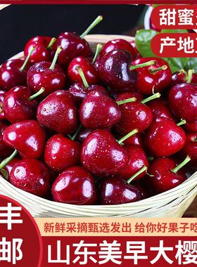 正宗美早大樱桃山东烟台大樱桃顺丰冷链孕妇水果车厘子现摘绿色脆