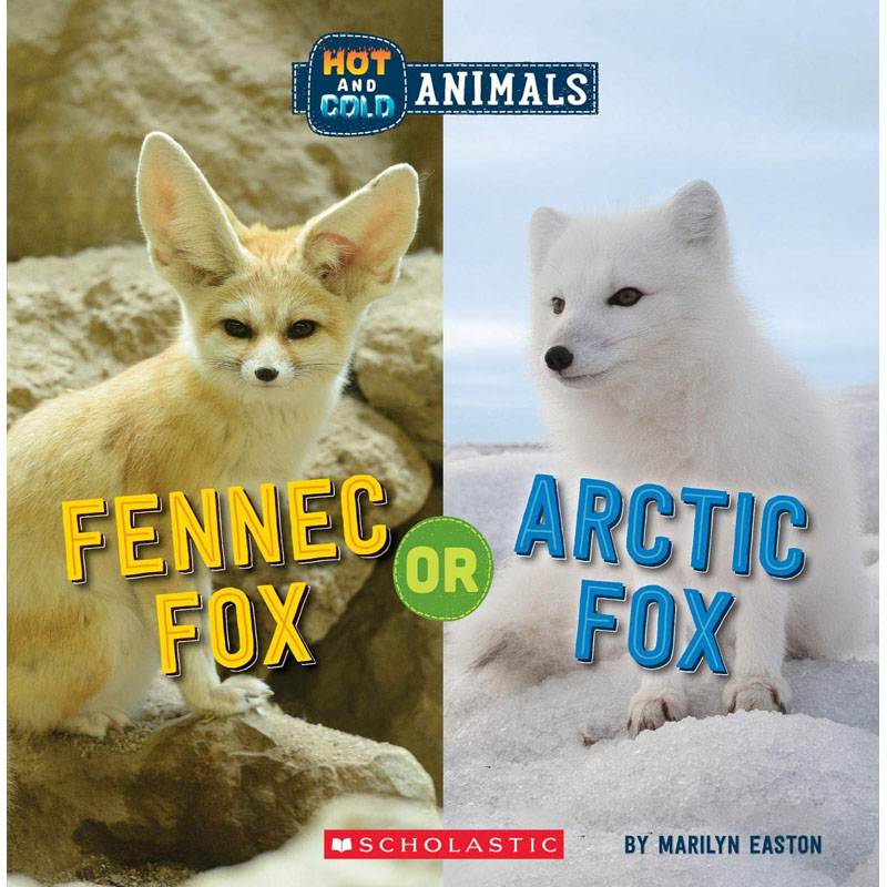 【预售】英文原版 Fennec Fox Or Arctic Fox 耳廓