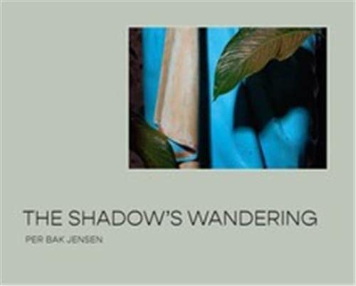 【预售】英文原版 The Shadow s Wandering 影子在游荡 STRANDBERG Per Bak Jensen 艺术摄影书籍