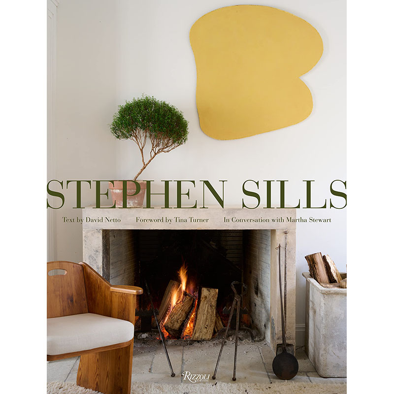 StephenSillsAVisionForDe