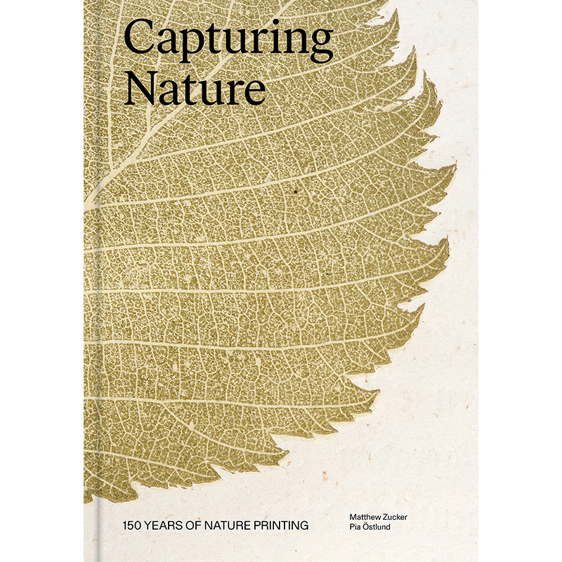 CapturingNature捕捉自然