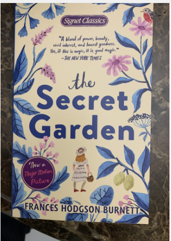 【现货】英文原版 The Secret Garden秘密花园 经典影视名著小说系列近现代作品儿童文学书籍