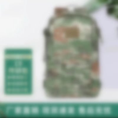 正品P21S式组合背包迷彩背囊携行突击战术登山大容量旅行户外背包