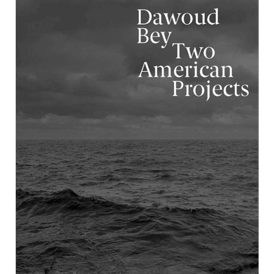 Dawoud Bey 进口艺术 达沃德 ·贝：两个美国项目 Yale【中商原版】