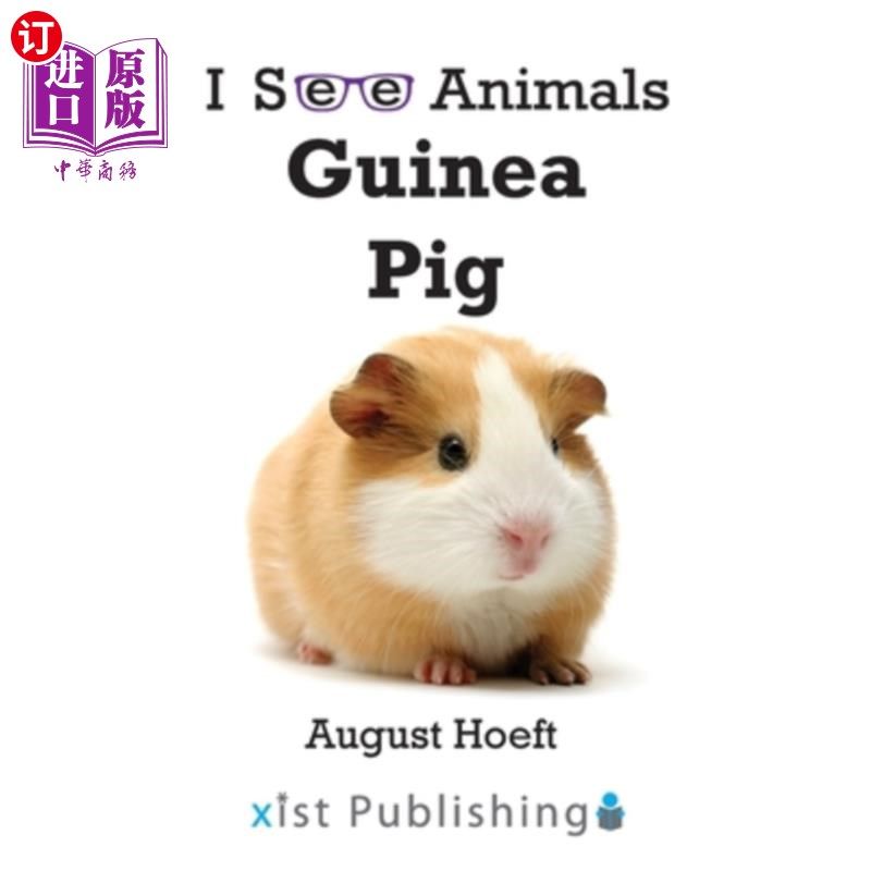 海外直订guinea pig 豚鼠