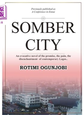 海外直订somber city 忧郁的城市