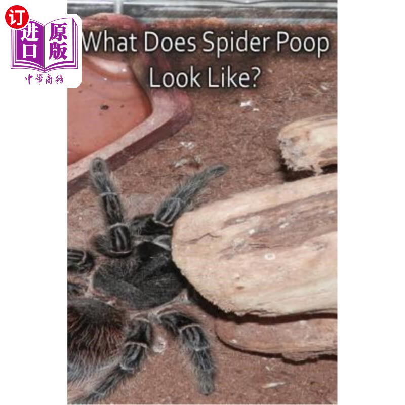 蜘蛛屎长什么样?