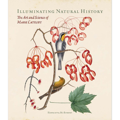 现货 照亮自然历史 马克凯茨比的艺术与科学 Illuminating Natural History Art and Science 英文原版【中商原版】