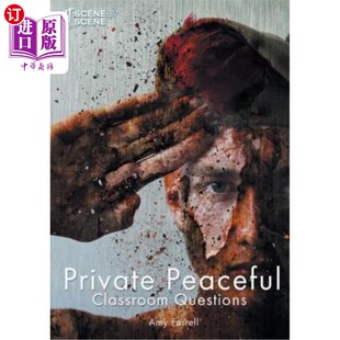 海外直订Private Peaceful Classroom Questions 私人和平课堂问题