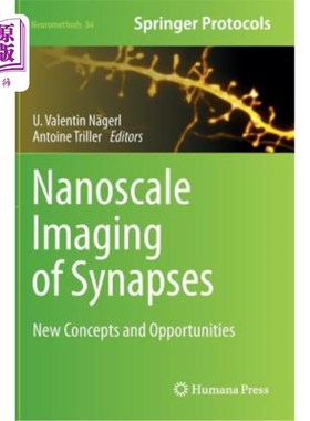 海外直订医药图书Nanoscale Imaging of Synapses: New Concepts and Opportunities 突触的纳米成像：新概念和新机遇