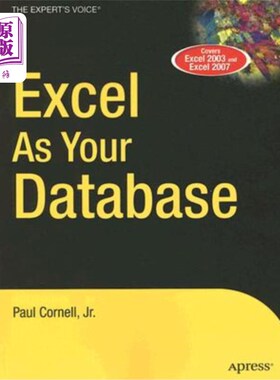 海外直订Excel as Your Database Excel作为数据库