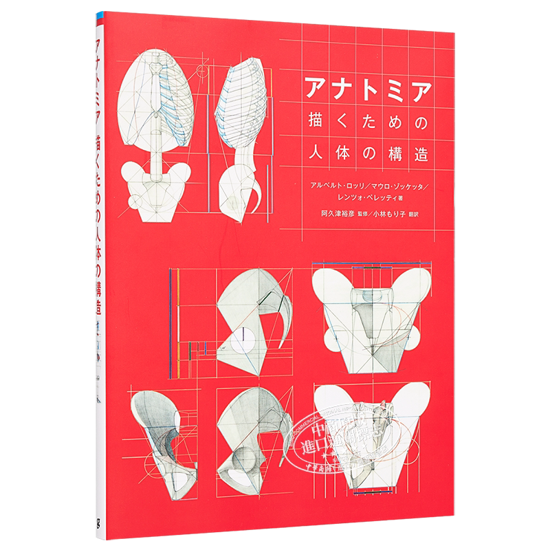 人体构造的分析 日文原版 アナトミア 描くための人体の構造【中商原版】