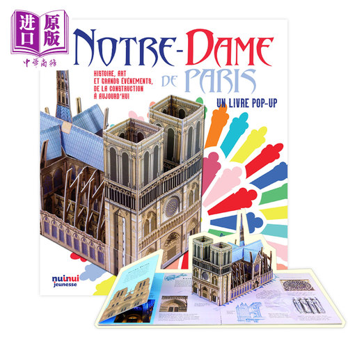 大卫霍科克巴黎圣母院法文立体书