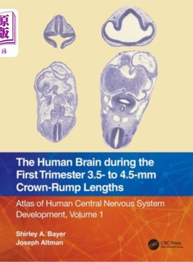 海外直订医药图书The Human Brain during the First Trimester 3.5- to 4.5-mm Crown-Rump Lengths: At 在前三个月的人类大