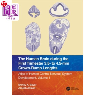 海外直订医药图书The Human Brain during the First Trimester 3.5- to 4.5-mm Crown-Rump Lengths: At 在前三个月的人类大