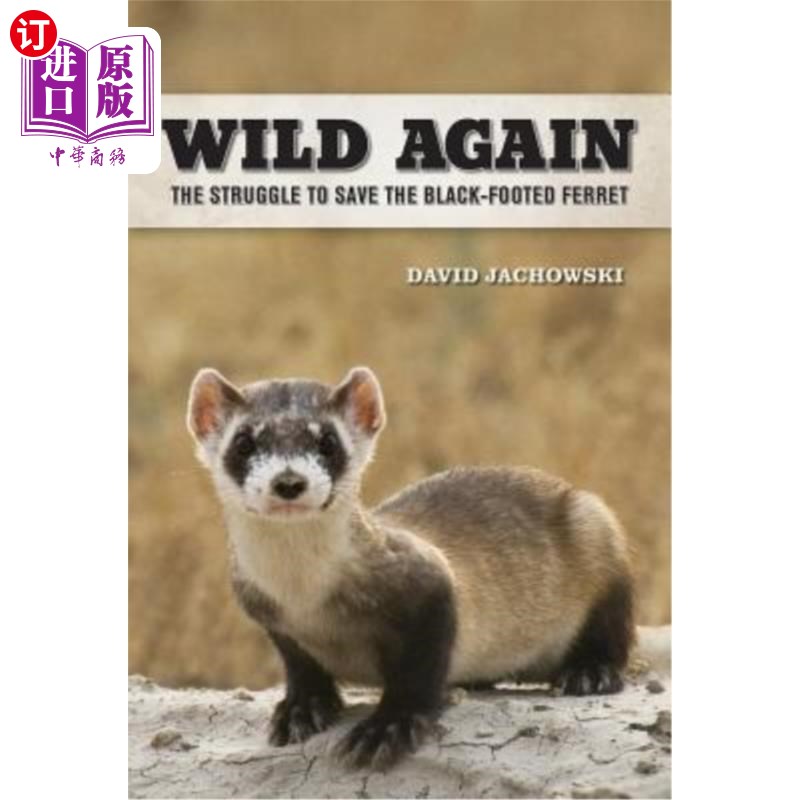 海外直订Wild Again: The Struggle to Save the Black-Footed Ferret 重回荒野:拯救黑脚雪貂的斗争