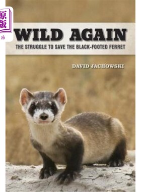 海外直订Wild Again: The Struggle to Save the Black-Footed Ferret 重回荒野:拯救黑脚雪貂的斗争