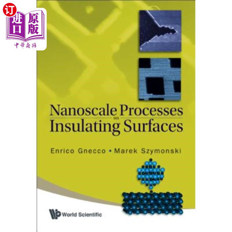 海外直订Nanoscale Processes on Insulating Surfaces 绝缘表面的纳米工艺