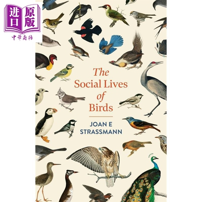 预售 鸟类的社交生活 The Social Lives of Birds 英文原版 Joan E Strassmann 世界各地鸟类故事 科普【中商原版】