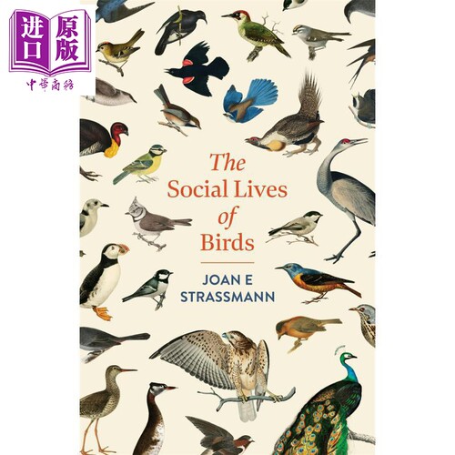 鸟类的社交生活 The Social Lives of Birds 英文原版 Joan E Strassmann 世界各地鸟类故事 科普【中商原版】