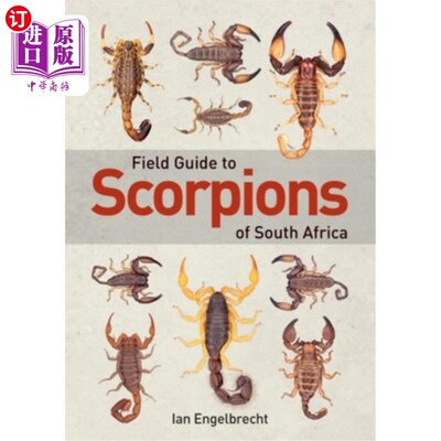 海外直订南非蝎子野外