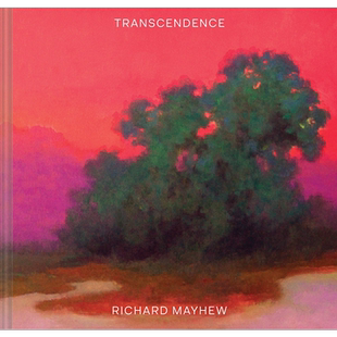 Transcendence 进口艺术 超然存在 Richard Mayhew 理查德梅修绘画作品集 画册画集【中商原版】