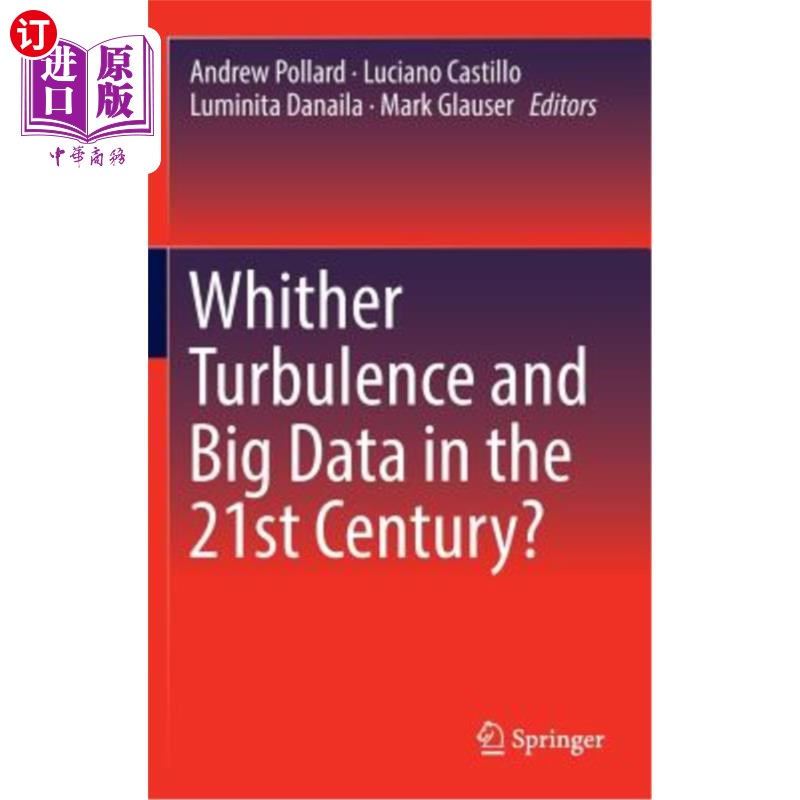海外直订Whither Turbulence and Big Data in the 21st Century? 21世纪的动荡和大数据何去何从?