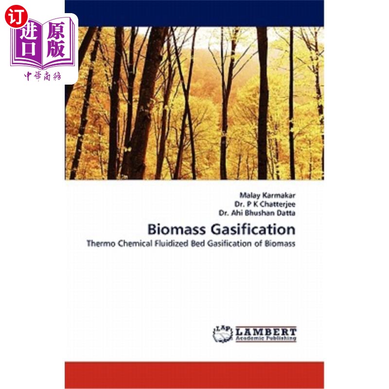 海外直订Biomass Gasification 生物质气化