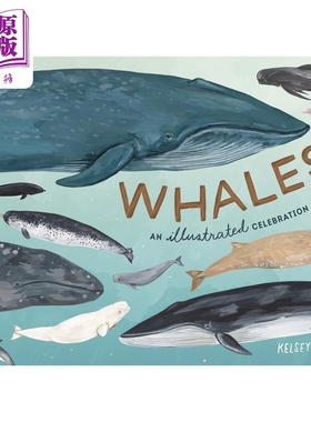 鲸鱼 图解庆典 Kelsey Oseid 英文原版 Whales  An Illustrated Celebration【中商原版】