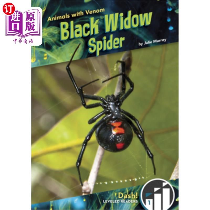 海外直订black widow spider 黑寡妇蜘蛛