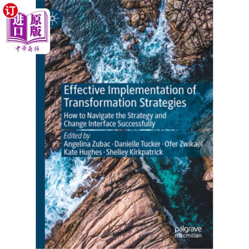 海外直订Effective Implementation of Transformation Strategies: How to Navigate the Strat 转换策略的有效实施:如何成