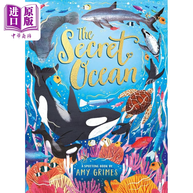 秘密海洋英文原版科普绘本