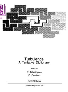 海外直订Turbulence: A Tentative Dictionary 湍流：一本暂定字典