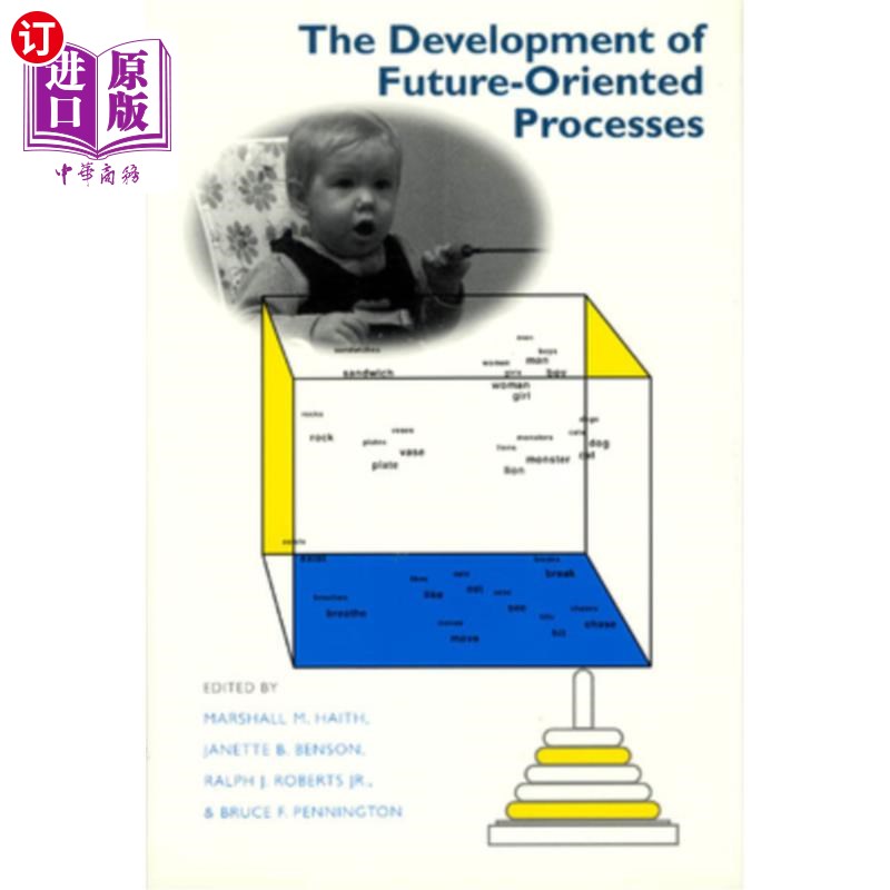 海外直订医药图书The Development of Future-Oriented Processes 面向未来流程的开发