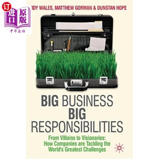 Companies 大责任：从恶棍到远 Responsibilities Visionaries Villains Big From 大企业 海外直订Big How Business