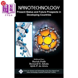 Developing Present Prospects 海外直订Nanotechnology Countries 发展中国家 and 纳米技术 Status 现状 Future Nam