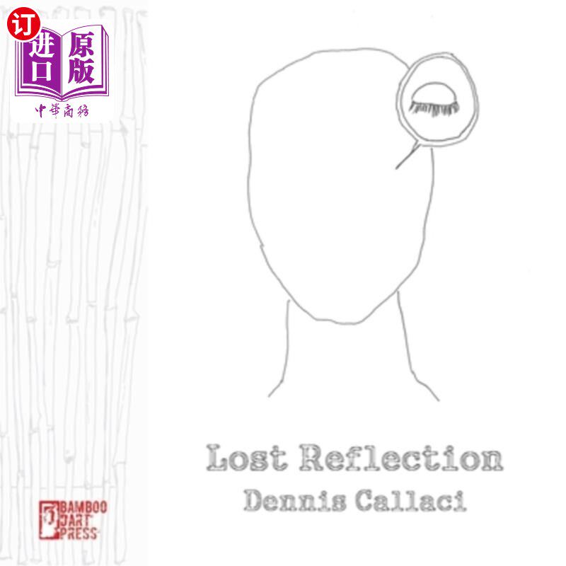 海外直订Lost Reflection 失去了反射