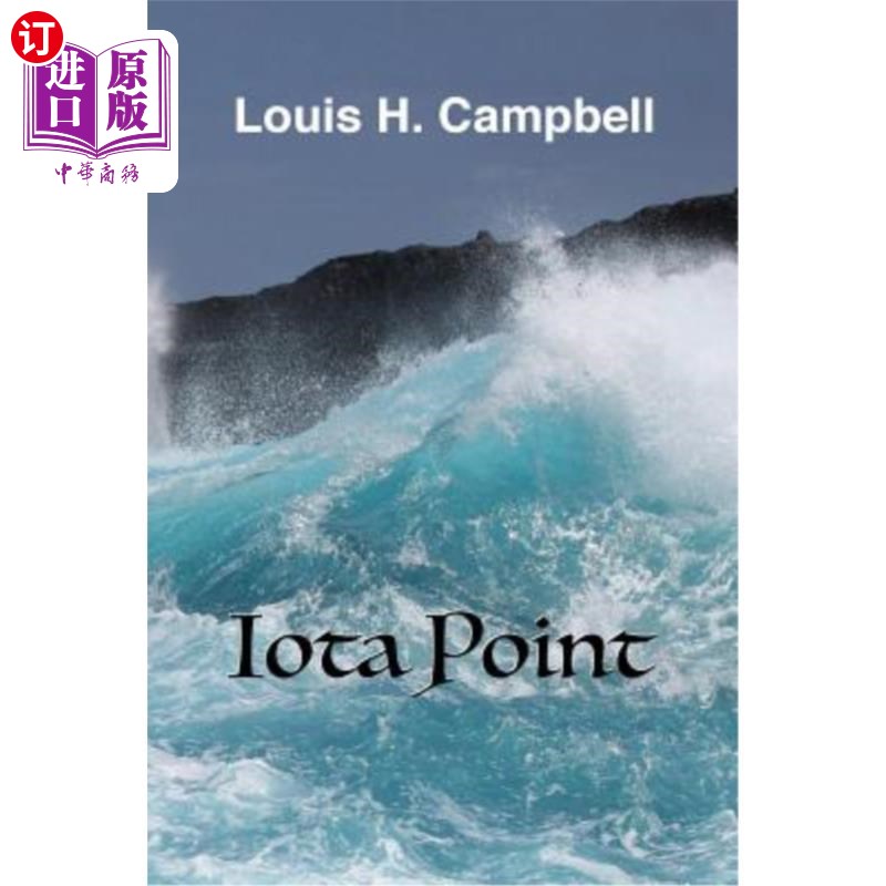 海外直订Iota Point 极微小点