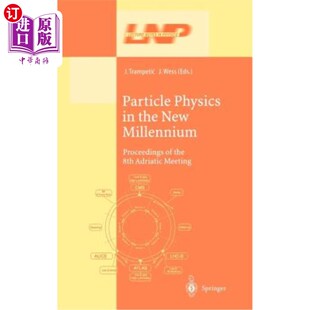 Physics Millennium 海外直订Particle 8th 粒子物理学在新千年 the Meeting 第8次亚 New Adriatic Proceedings