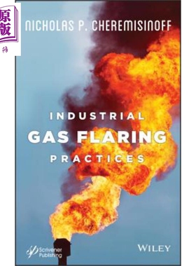 现货 工业气体的燃烧实践 Industrial Gas Flaring Practices Nicholas Cheremisinoff 英文原版 中商原版 Wiley【中商原版】