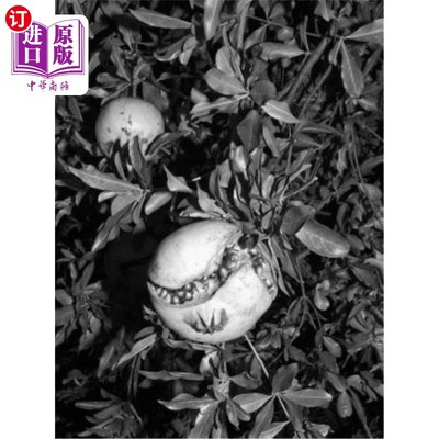 海外直订Jacopo Benassi: Bologna Portraits 雅格布·比纳西:博洛尼亚Portraits