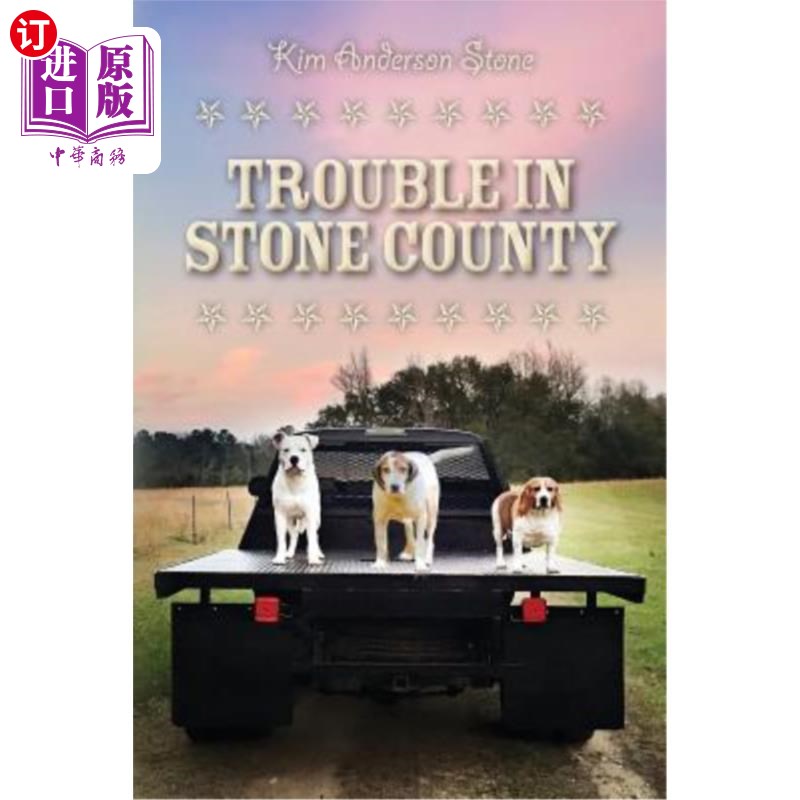 海外直订Trouble in Stone County 斯通县的麻烦 书籍/杂志/报纸 儿童读物原版书 原图主图