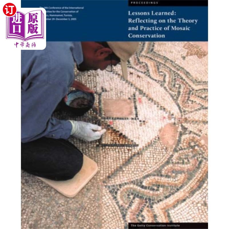 海外直订Lessons Learned - Reflecting on the Theory and P... 经验教训-马赛克保护的理论与实践反思