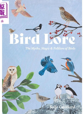 鸟类传说 鸟类的神话 民间传说和意义 莎莉 库尔萨德 插图指南 Bird Lore 英文原版 Sally Coulthard 文化科普【中商原版】