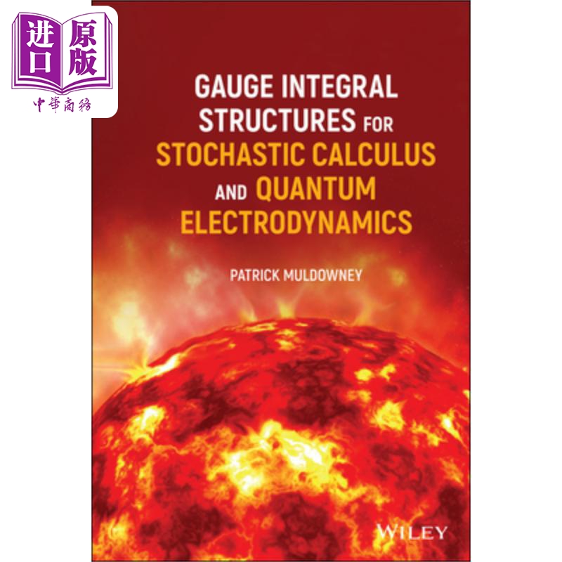 随机微积分与量子电动力学的规范积分结构 GaugeIntegralStructuresForStochasticCalculusQuantumElectrodynamics  英文原版