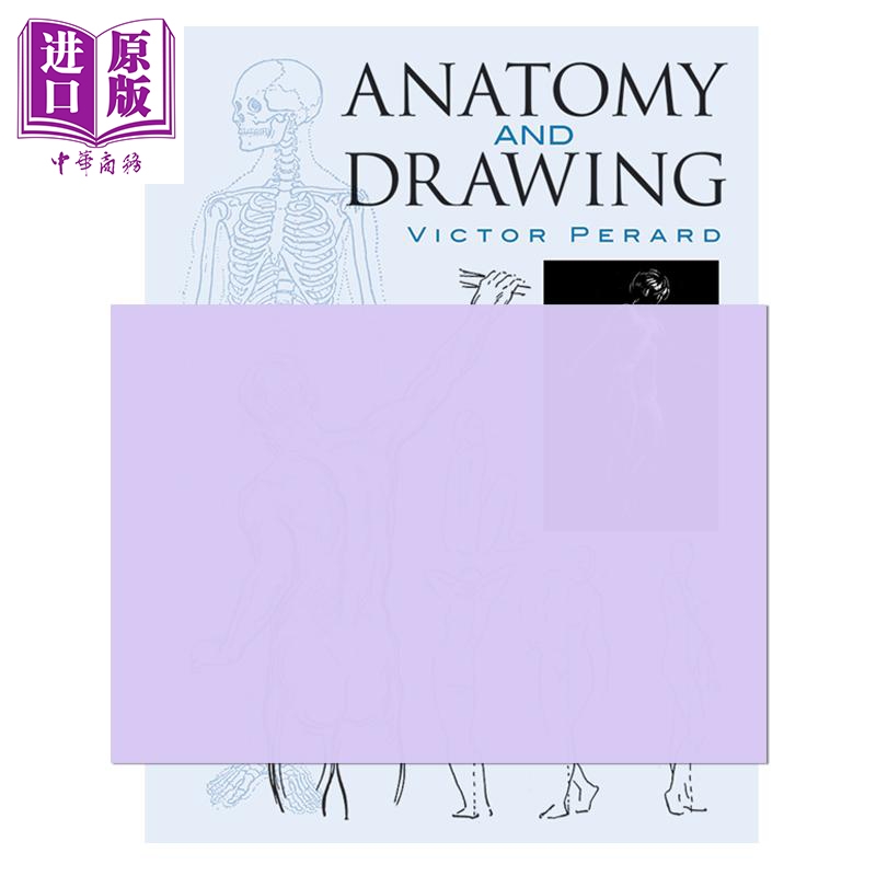 现货 Anatomy and Drawing进口艺术解剖和绘图【中商原版】